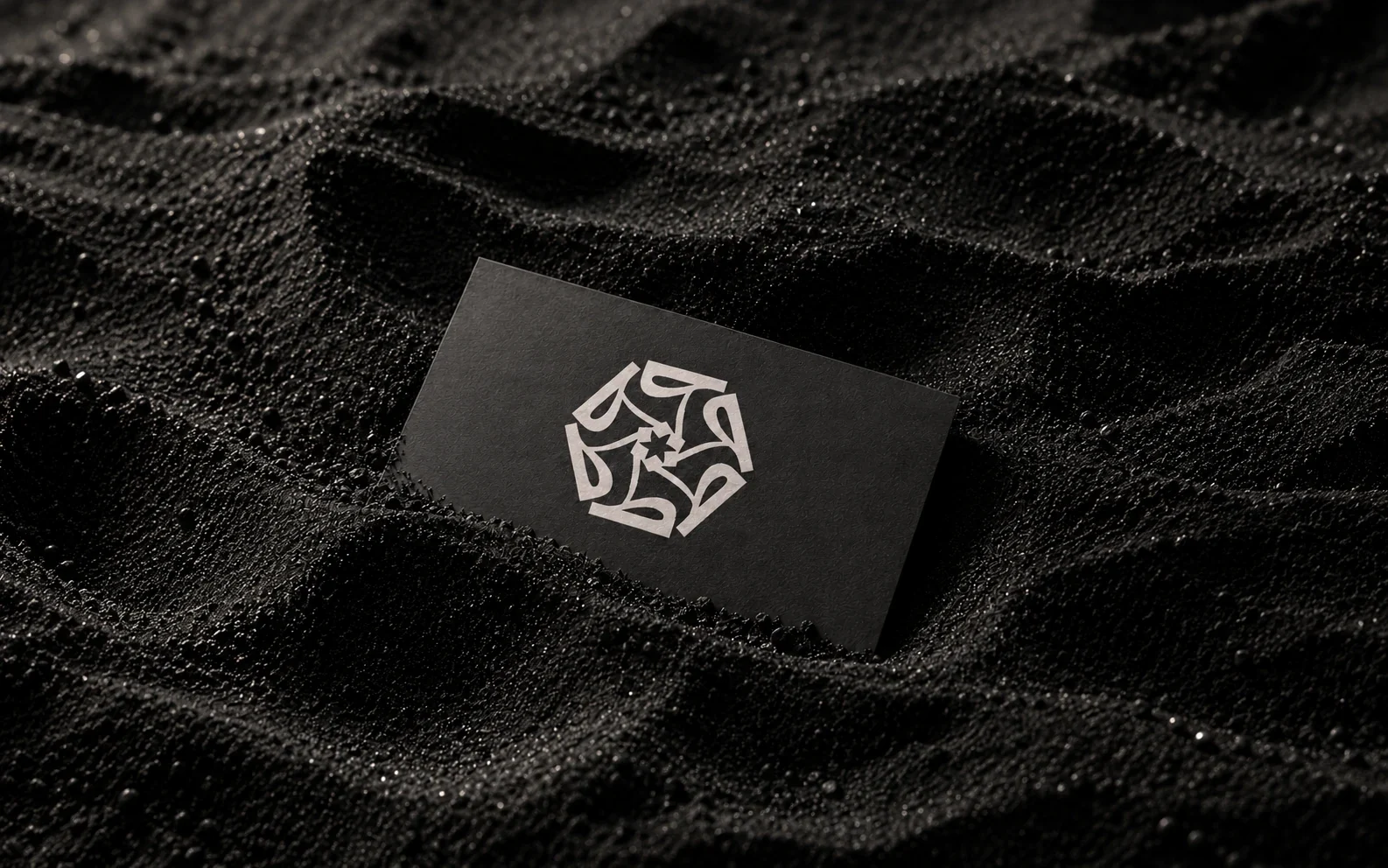 Taher Adel — brand & website